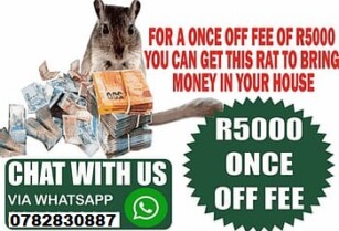 Money Spell Magic Ring Wallet And Rats In Kenya, Rwanda And Uganda Call  +27782830887 East London And Cape Town South Africa