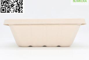 Tray disposable tray bagasse tray serving tray