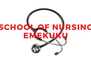 Holy Rosary Emekuku School of Nursing Admission Form 2022/2023 Form is still on-going out call the school help line on +2349037849094. Also midwifery