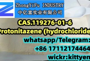 Cas 119276-01-6 Protonitazene (Hydrochloride) Seller China