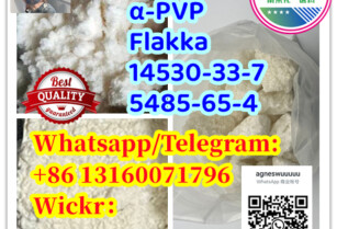 Free sample   5485-65-4  14530-33-7 Flakka  α-PVP