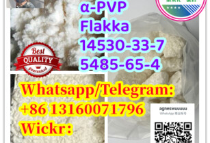 Safety delivery 14530-33-7  5485-65-4  Flakka  α-PVP