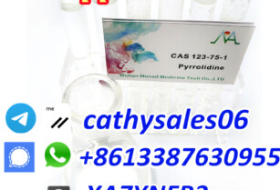 Raw Material Pyrrolidine N Methyl Pyrrolidine CAS 123-75-1 for Medical Use