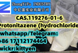 Pharmaceutical Grade Protonitazene HCl CAS 119276-01-6