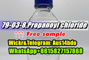 79-03-8,Propanoyl chloride,79-03-8 Mexico