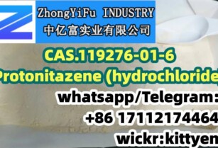 CAS 119276-01-6 Protonitazene (hydrochloride) Whatsapp: +86 17112174464