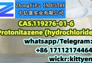 Hot sale Protonitazene (hydrochloride) CAS 119276-01-6