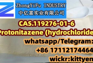 High Quality Protonitazene HCl CAS 119276-01-6 Isotone