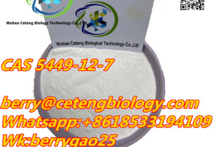 BMK Glycidic Acid (sodium salt)- CAS 5449-12-7