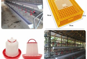 Buy Your Poultry Equipments From Us (Call 08072250946)