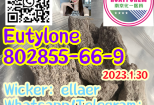 Eutylone 802855-66-9  Reliable Supplier