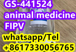 FIP FIPV GS-441524 gs 441524 medicine for cats1191237-69-0