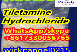 Tiletamine Hydrochloride 14176-50-2