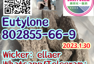 Eutylone 802855-66-9 Fast delivery