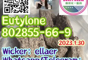 Eutylone 802855-66-9  China Hot sale 