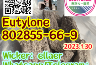 Eutylone 802855-66-9  Factory 99% Pure