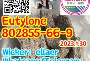 Eutylone 802855-66-9 Top supplier