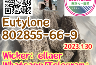 Eutylone 802855-66-9 China manufacturer 