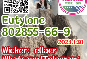 Eutylone 802855-66-9 China factory of