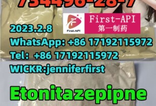 Etonitazepipne, 734496-28-7