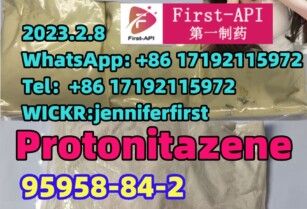 Protonitazene, 119276-01-6, 95958-84-2