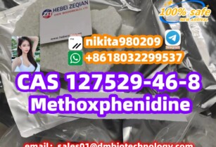 Methoxphenidine, 2-MeO-Diphenidine, MXP 127529-46-8