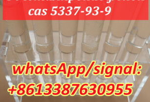 High Yield 4-Methylpropiophenone CAS 5337-93-9 with Best Price