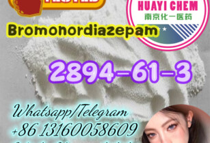 bromonordiazepam 2894-61-3 butonitazene 95810-54-1