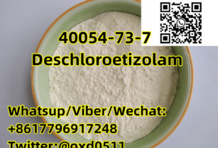 40054-73-7 Deschloroetizolam