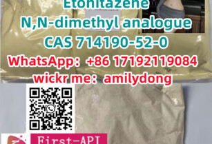 Etonitazene N,N-dimethyl analogue CAS 714190-52-0 hot