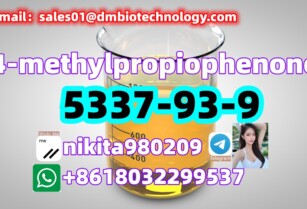 Factory Supply 4-Methylpropiophenone CAS 5337-93-9 with Best Price