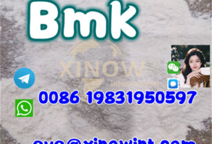 Supply bmk oil 20320 bmk powder 5449-12-7 best price