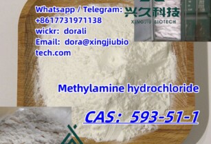 593-51-1 Methylamine Hydrochloride