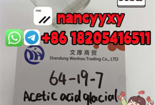 64-19-7 AceticoacidglacialChina Hot sale