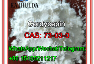 China Manufacture 99% Purity CAS 73-03-0,Cordycepin