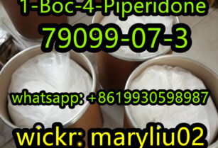 CAS 79099-07-3  1-Boc-4-Piperidone