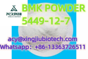 Factory Price odium,2-methyl-3-phenyloxirane-2-carboxylic acid CAS 5449-12-7