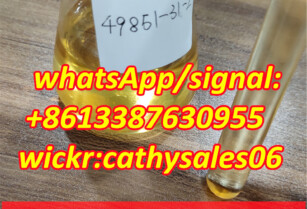 CAS 49851-31-2 2-Bromovalerophenone CAS 49851 31 2 China Reliable Supplier