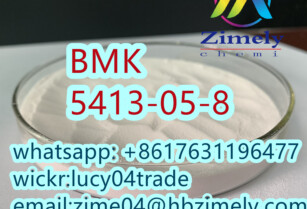 Hot BMK CAS 5413-05-8 Ethyl 3-oxo-4-phenylbutanoate Best price