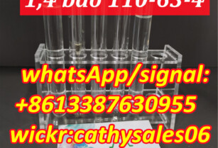 Australia warehouse Butyrolactone Bdo 1, 4-Butanediol CAS 110-63-4