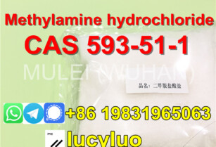 Auxiliary material methylamine hydrochloride 593-51-1 buy online