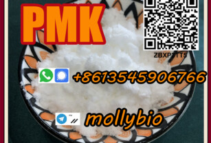 pmk precursors white pmk powder Cas28578-16-7 Telegram: mollybio