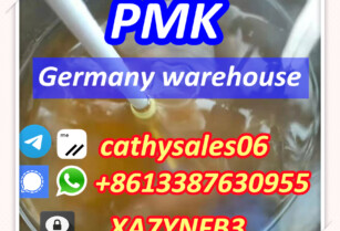 high yield Piperonyl Methyl Ketone pmk glycidate pmk oil cas 13605-48-6 pmk glycidate oil special line delivery