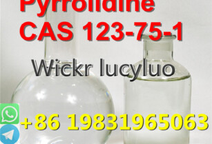 Professional Supplier of Pyrrolidine 123-75-1