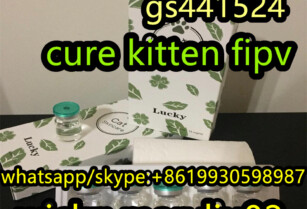 gs441524 cure kitten fipv 1191237-69-0