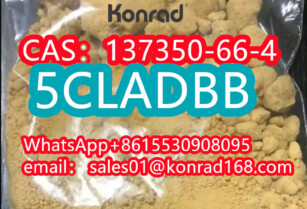 6  5CLadbCAS：137350-66-4