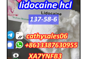 Anesthetic Powders Lidocaine for Pain Killer CAS 137-58-6