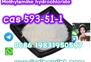 cas 593-51-1 Methylamine Hydrochloride