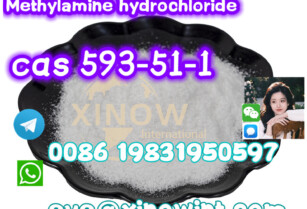 CAS number 593-51-1 Methylamine Hydrochloride