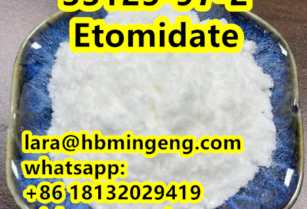 CAS 33125-97-2 Etomidate